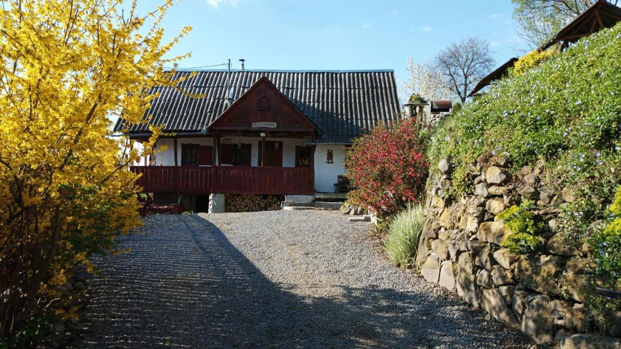 Meselak Villa Ocna de Sus Eksteriør bilde